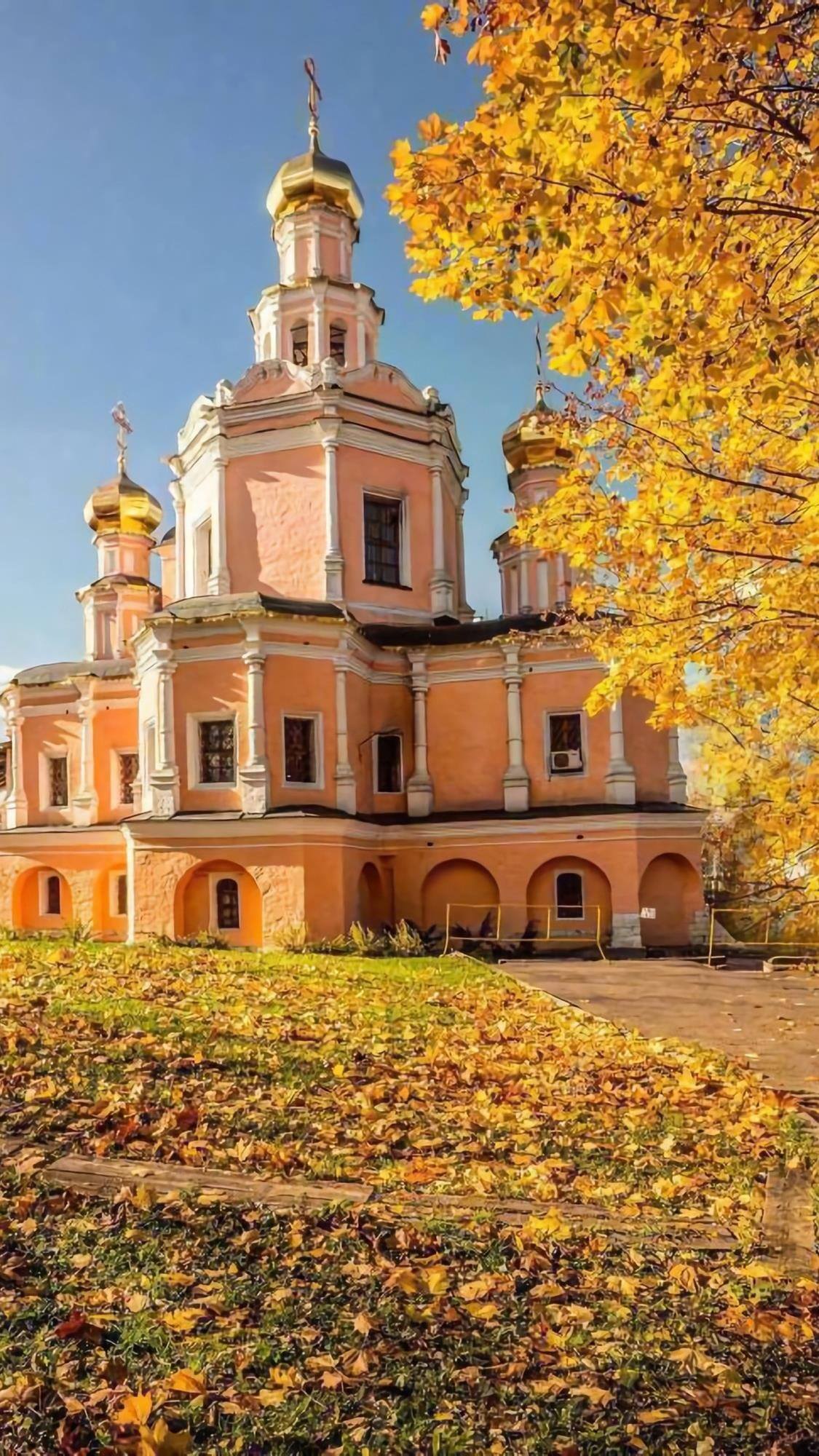 绿色植物下雪壁纸壁纸预览