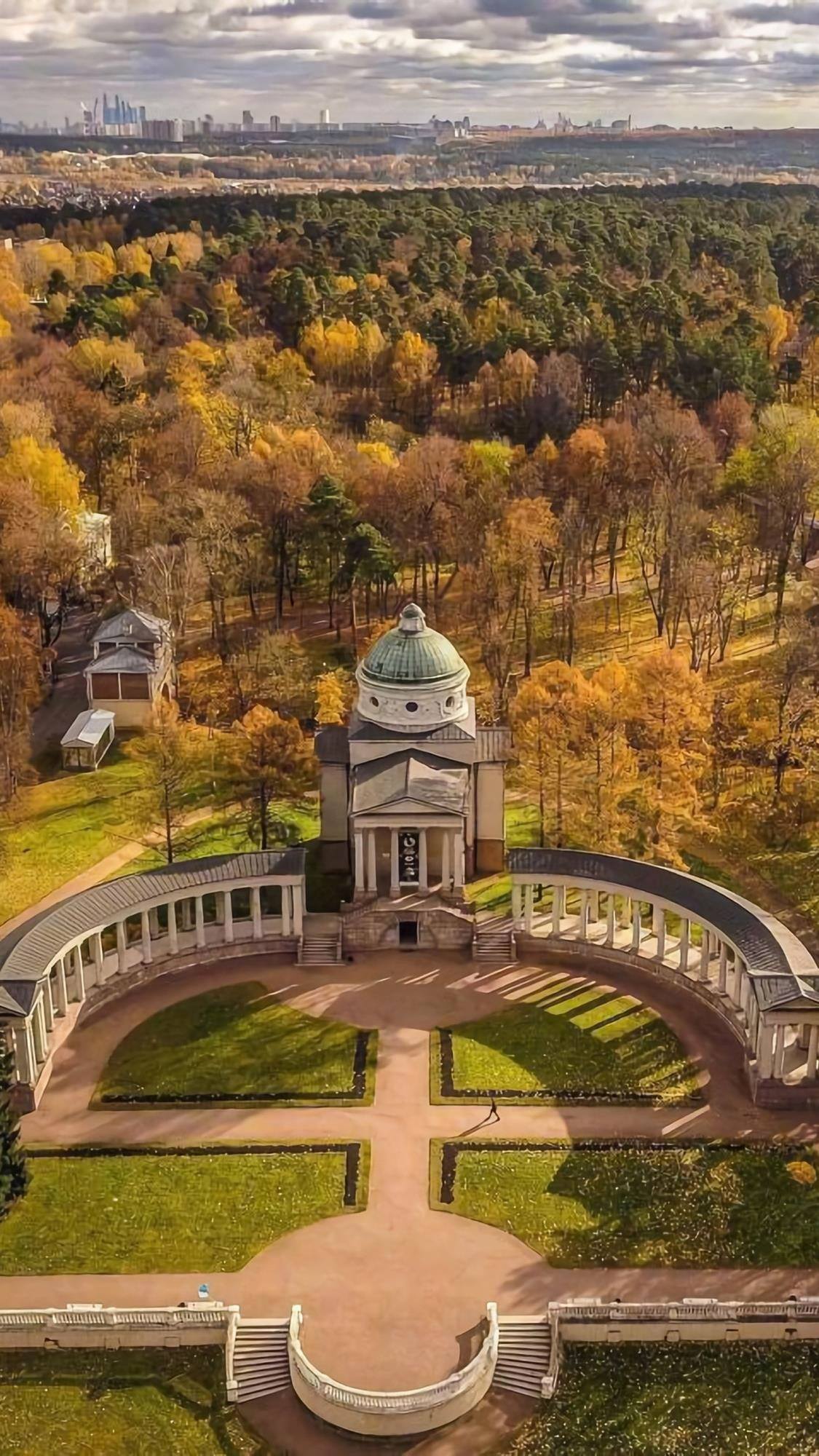 绿色植物唯美壁纸无字壁纸预览