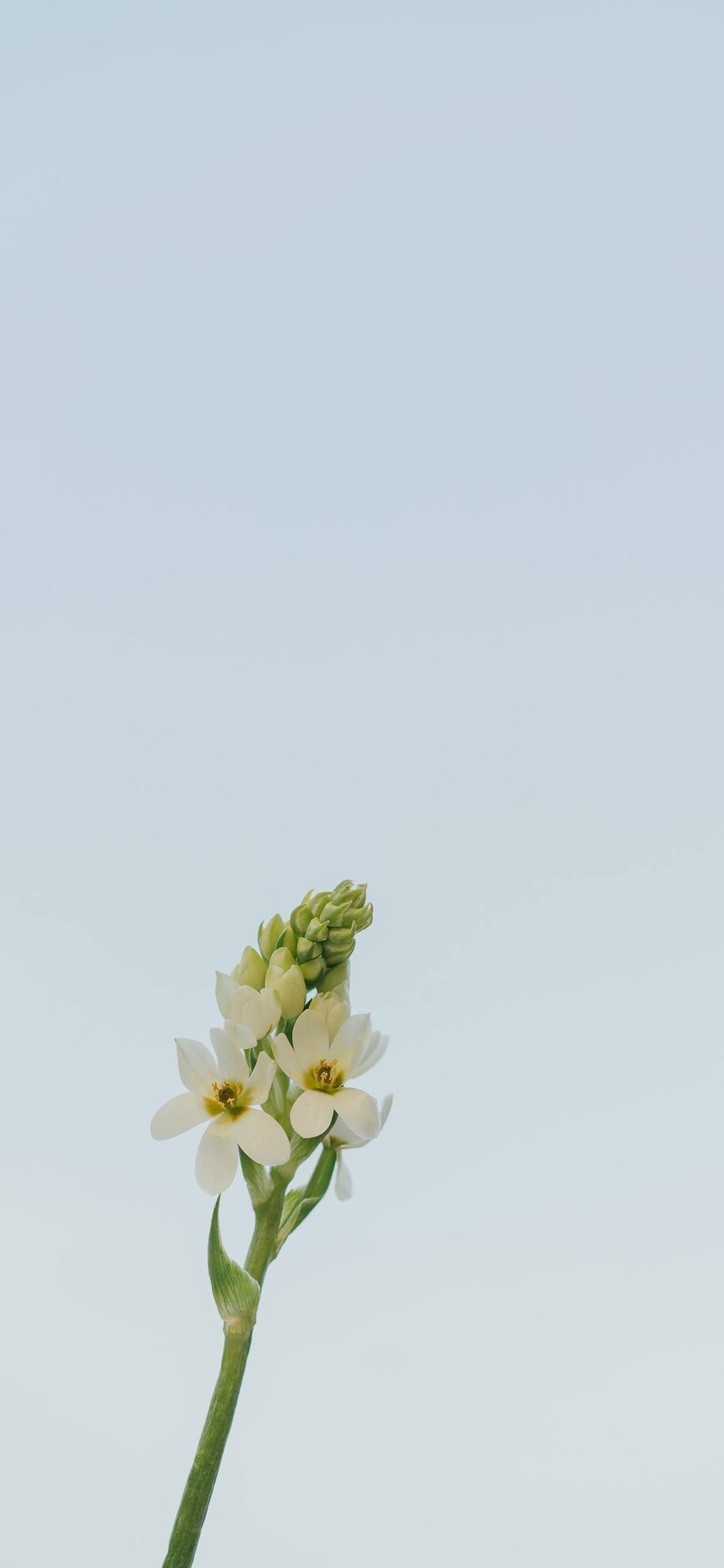 绿色植物遇见下雨天壁纸壁纸预览