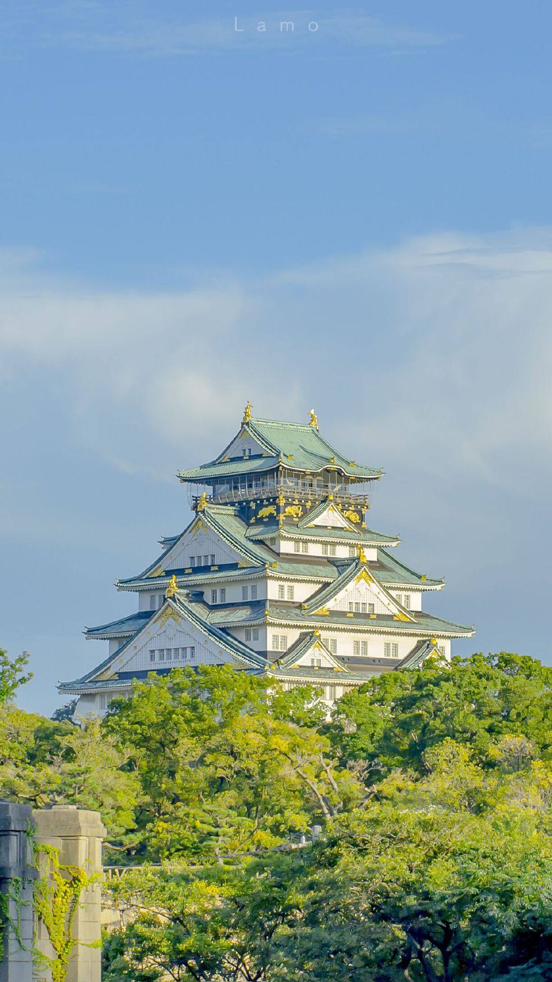 苹果手机壁纸风景植物壁纸预览