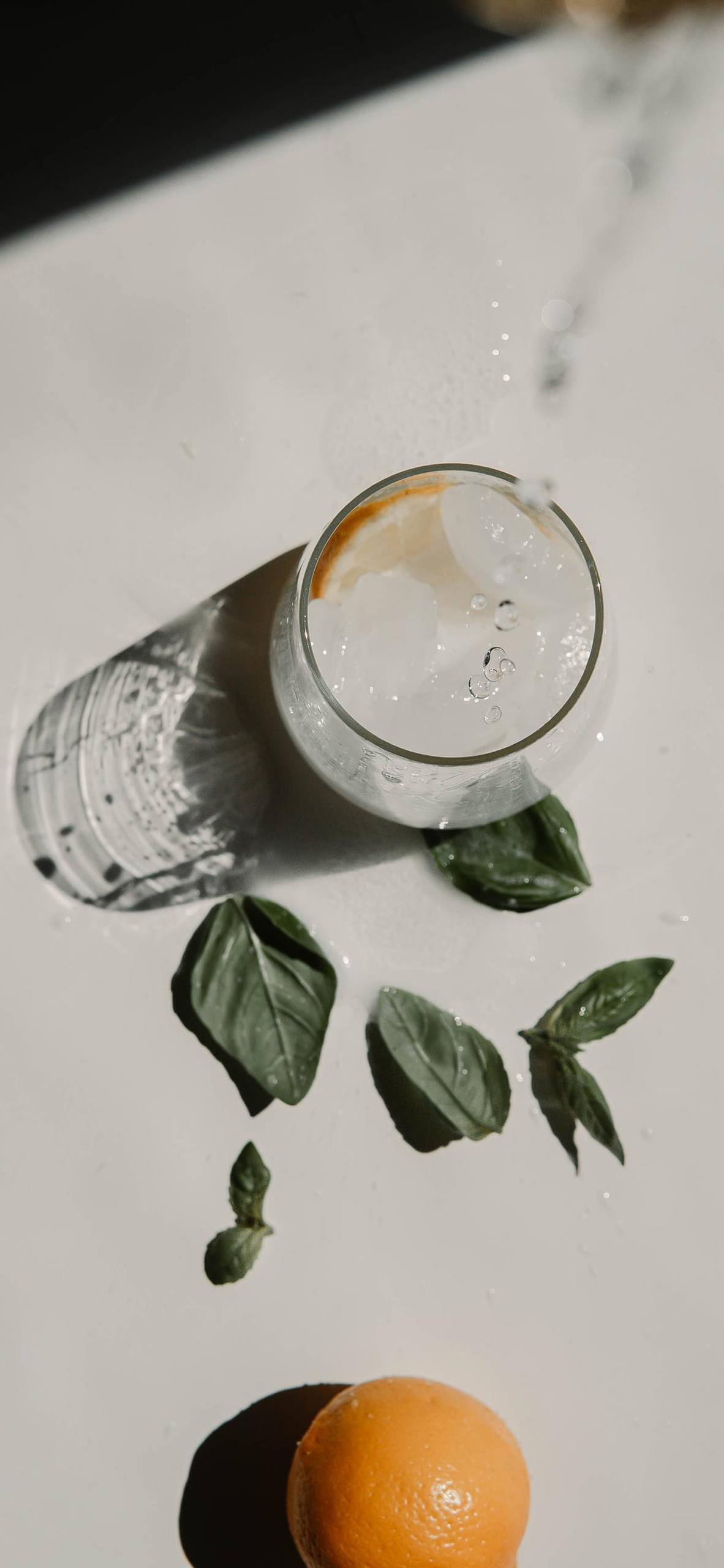 适合做壁纸的多肉植物壁纸预览